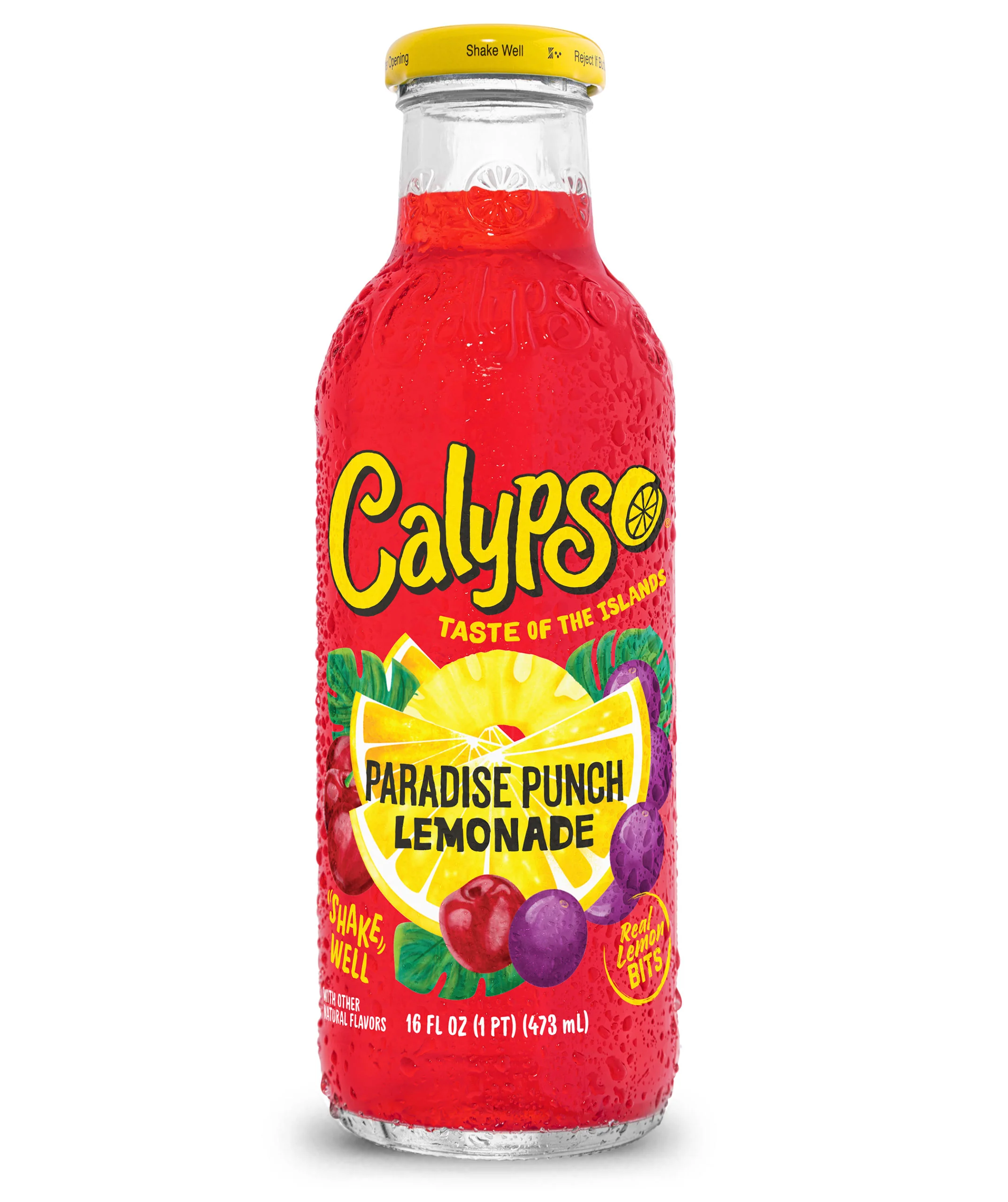 Calypso Paradise Punch Lemonade (473 ml)